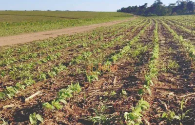 Fazenda à venda, 3484800 m² por r$ 37.000.000 - zona rural - itapetininga/sp
