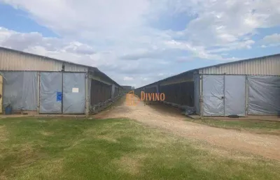 Sítio com granja à venda na região de itapetininga-sp