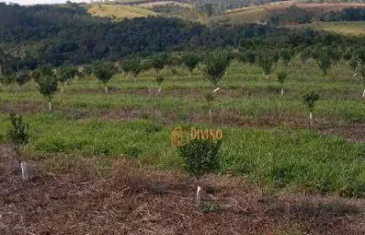 Chácara / sítio à venda na Estrada Municipal São Miguel Arcanjo, Centro, São Miguel Arcanjo