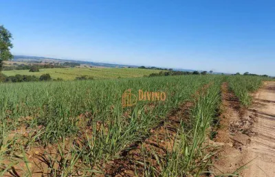 Fazenda com cana à venda na região de sorocaba-sp preço: r$ 25.000.000,00