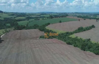 Fazenda à venda na Estrada Vicinal Maestro Benedito Pompeu de Jesus, 3, Área Rural de Itapetininga, Itapetininga