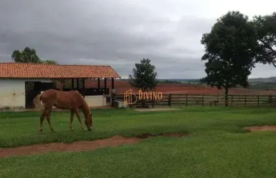 Fazenda à venda na Rua Antiga Estrada Municipal, Área Rural de Itapetininga, Itapetininga