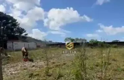 Terreno à venda, 324 m² por r$ 430.000,00 - santa luzia - tijucas/sc