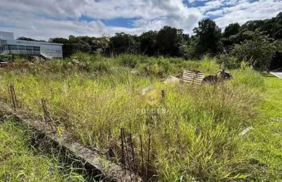 Terreno à venda, 300 m² por r$ 800.000,00 - nova esperança - balneário camboriú/sc