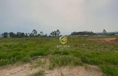 Terreno à venda, 301 m² por r$ 215.000 - loteamento flora e flora - tijucas/sc