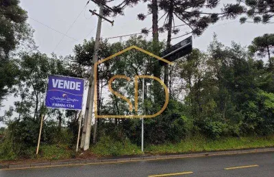 Ótimo investimento - área com 5 alqueires , à venda em são josé dos pinhais, costeira