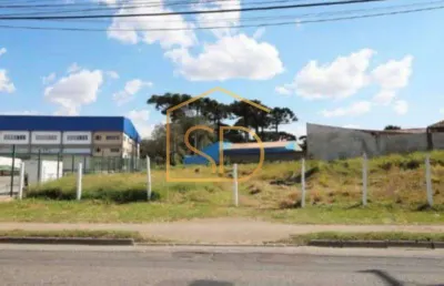 Excelente terreno com 2000m², à venda em são josé dos pinhais, roseira