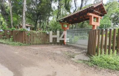 Chácara / sítio com 4 quartos à venda na rua william starostik, colônia zacarias, são josé dos pinhais, 280 m2 por r$ 2.499.900