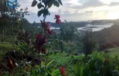 Grande oportunidade de adquirir excelente fazenda com preço imperdível na região sul da bahia!!