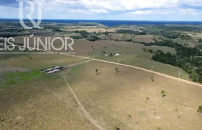 Fazenda de 1.240 hectares à venda em mascote-ba: sua oportunidade de investimento no campo!