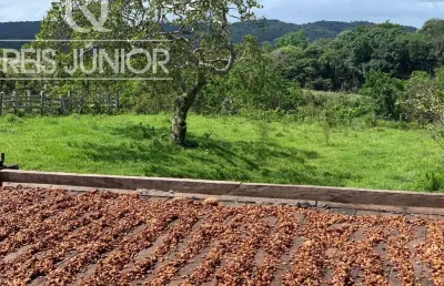 Fazenda à venda em ilhéus-ba com 242 hectares de área!