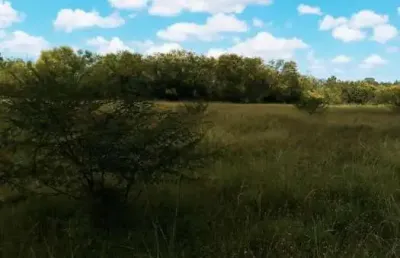 Terreno à venda na estrada otaviano josé pinto, 1100, lami, porto alegre por r$ 740.000