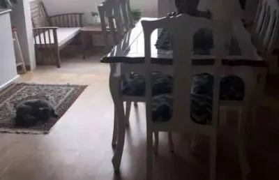 Apartamento para venda com 3 quartos no bairro jardim das industrias