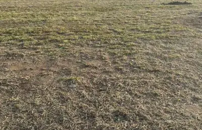 Terreno em condomínio fechado à venda na Rua Aleandro Do Nascimento Ferreira, Loteamento Fazenda Ronda, São José dos Campos