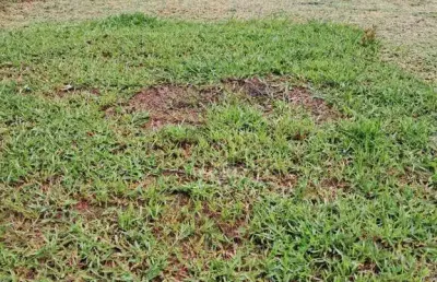 Terreno à venda – excelente localização – bairro chácaras santa martha – várzea paulista sp