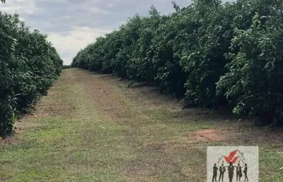 Fazenda à venda na Rua Nove de Julho, Centro, Marília