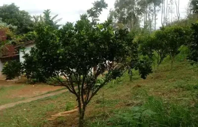 Terreno à venda no Centro, Poços de Caldas 