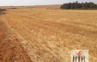 Fazenda à venda no Centro, Sacramento 