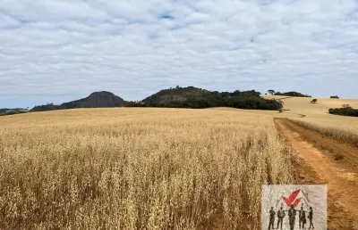 Fazenda à venda no Centro, Ipuiúna 