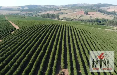 Fazenda à venda no Centro, Elói Mendes 