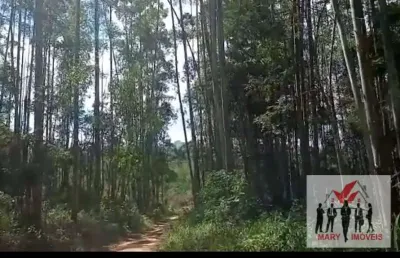 Fazenda à venda no Centro, Taubaté 