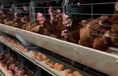 Barracão / Galpão / Depósito à venda no Centro, São Paulo 