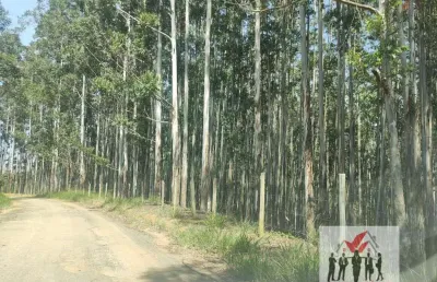 Fazenda à venda no Centro, Lavrinhas 