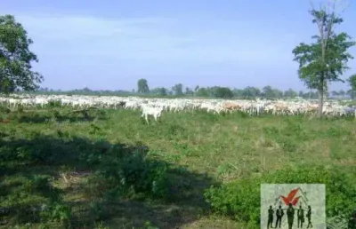 Fazenda à venda na Estrada Transpantaneira, Zona Rural, Poconé
