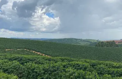 Fazenda à venda no Centro, Guaxupé 