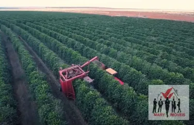 Fazenda à venda no Centro, Buritizeiro 