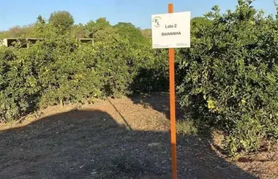 Fazenda à venda no Centro, Januária 