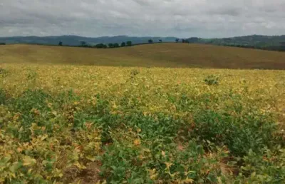 Fazenda à venda no Centro, Perdões 