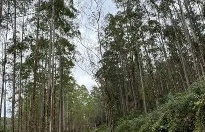 Fazenda à venda no Centro, Sorocaba 