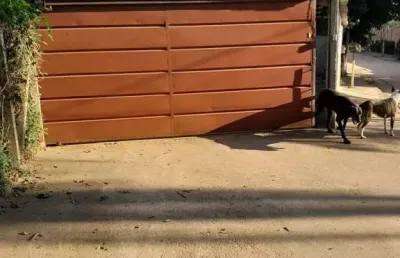 Chácara à venda no bairro centro - bandeira do sul/mg