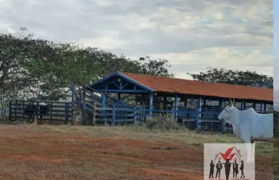 Fazenda à venda no Centro, Conquista 
