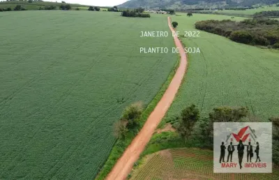 Fazenda à venda no bairro centro - carmo do rio claro/mg