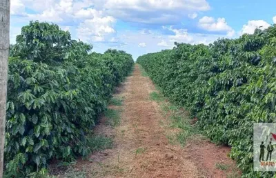 Fazenda à venda no Centro, Botelhos 