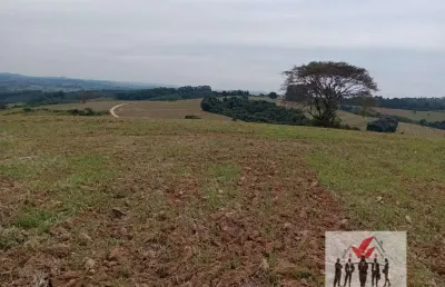 Fazenda à venda no bairro centro - são pedro da união/mg
