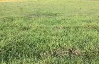 Fazenda à venda no bairro vila ramos - pouso alegre/mg