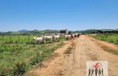 Fazenda à venda no Centro, Pouso Alegre 