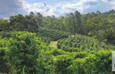 Fazenda à venda no Centro, Botelhos 