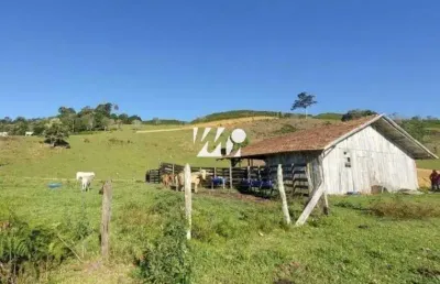 Chácara / sítio com 3 quartos à venda no Centro, Leoberto Leal 