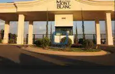 Terreno em condomínio fechado à venda na Estrada Municipal Adelina Segantini Cerqueira Leite, Loteamento Mont Blanc Residence, Campinas