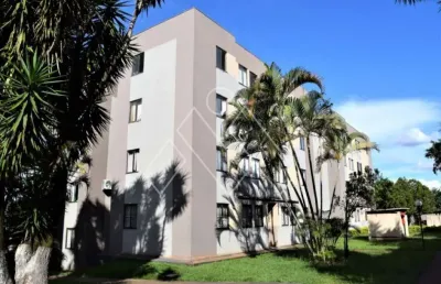 Apartamento com 2 quartos à venda na Rua Madre Henriqueta Dominici, 750, Lagoa Dourada, Londrina