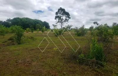 Chácara / sítio com 3 quartos à venda na Núcleo Rural Ribeirão Jacutinga, Zona Rural, Ibiporã