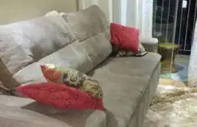 Ótimo apartamento porteira fechada no jardim dos estados, taubaté-sp.