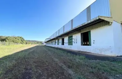Barracao comercial para alugar - comercial conjunto habitacional jamile dequech, londrina