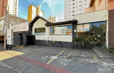 Ponto comercial para alugar  - bairro centro, londrina 00