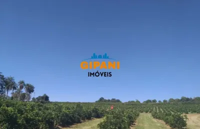 Chácara / sítio com 4 quartos à venda no Guedes, Jaguariúna 