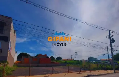 Terreno localizado em avenida comercial, excelente oportunidade!